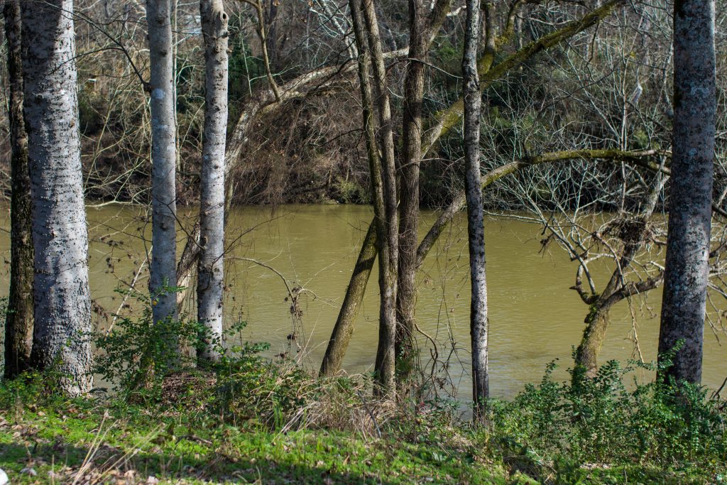 The Cahaba after the waters receded, on January 7.